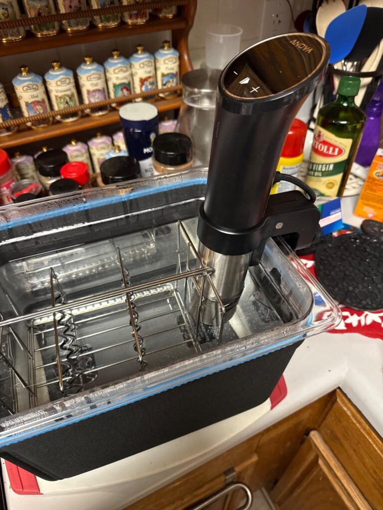 HOMENOTE 12-Qt Sous Best Vide Container Review