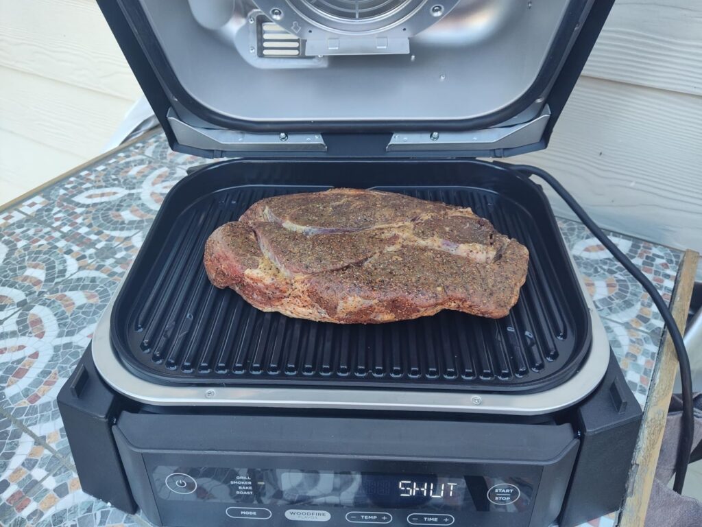 Ninja Woodfire Grill 5